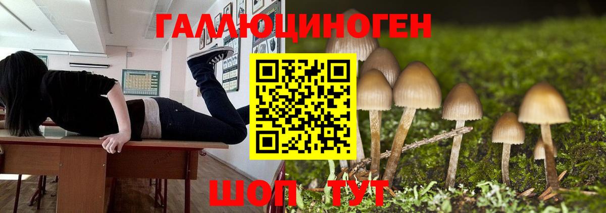 Губаха  Галлюциногенные грибы Psilocybine cubensis  Вход с VPN  Галлюциногенные грибы ЛСД 